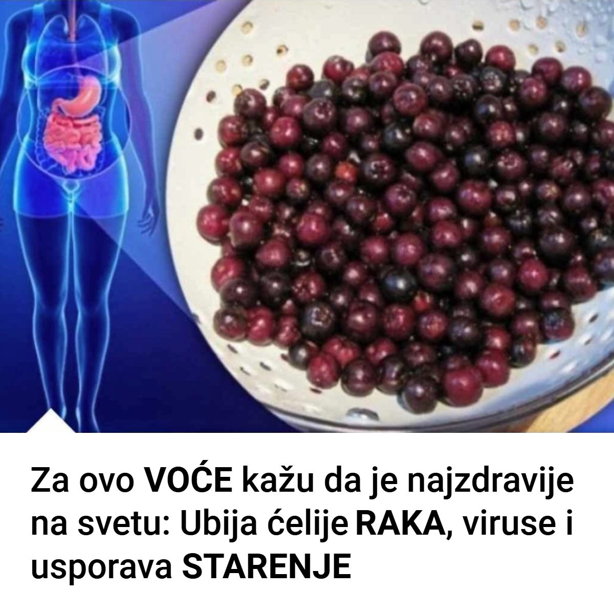 Kako se pravi sirup od aronije recept