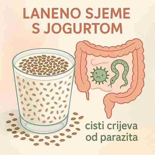 Laneno sjeme sa jogurtom za detoksikaciju tijela i gubitak težine