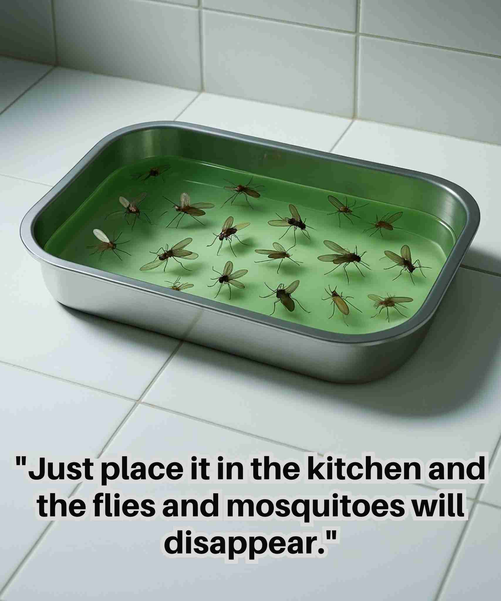 Recite zbogom muhama i komarcima uz ovaj domaći trik!