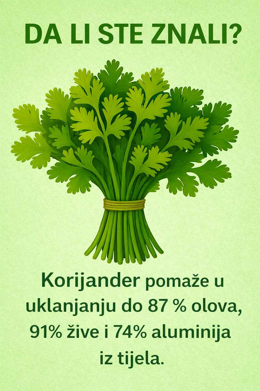 Jeste li znali? Moć korijandera (cilantro) – prirodni detoks za vaše tijelo!