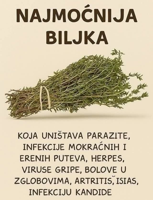 Najmoćniji prirodni lijek za parazite, urinarne infekcije, herpes i gripu: ulje origana
