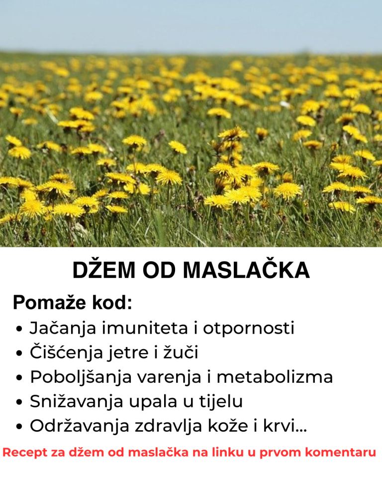 Džem od maslačka – Prirodni saveznik za zdravlje i energiju, evo kako da ga napravite