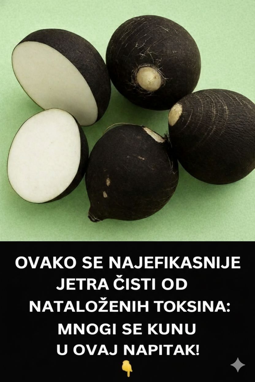 RECEPT KOJI PREPORAĐA ORGANIZAM: Crna rotkva i med – Drevni eliksir koji „ispira“ toksine iz jetre i obnavlja vašu unutrašnju energiju!