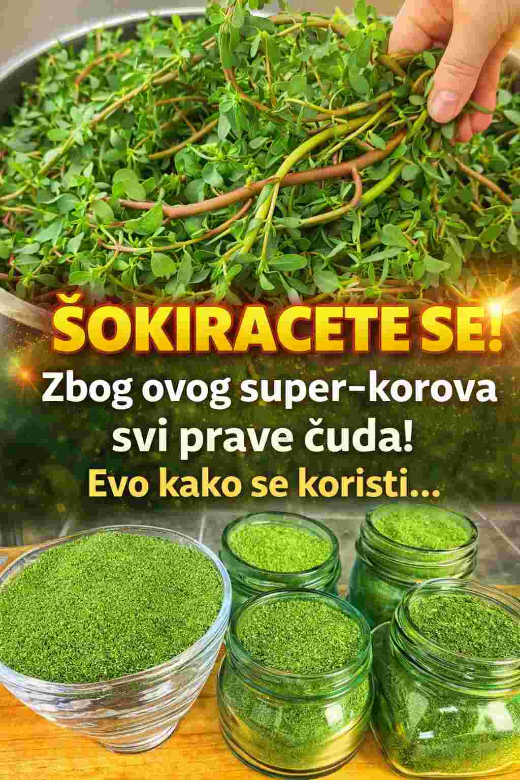 Zašto biste trebali uključiti portugal u svoj vrt: 8 uvjerljivih razloga