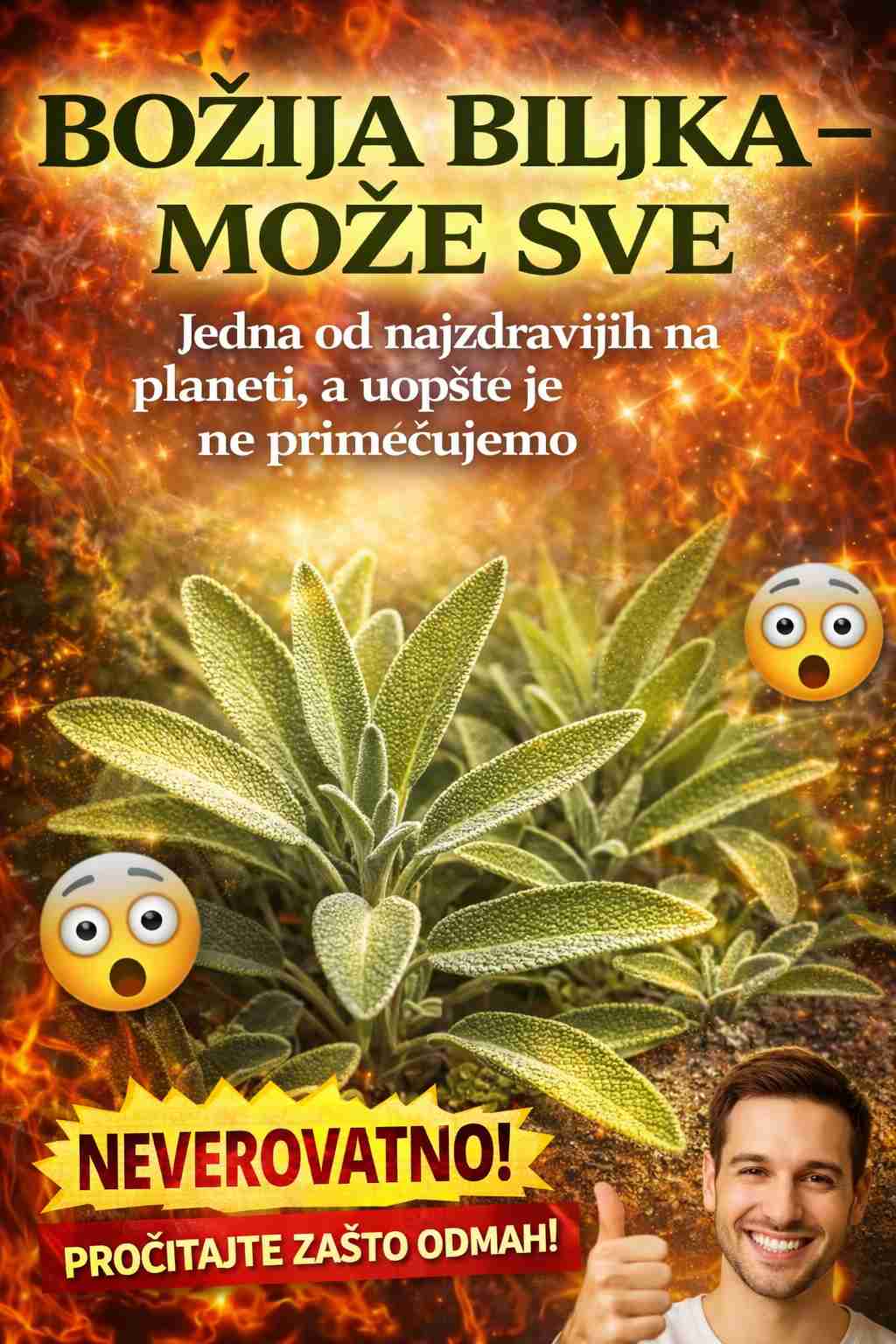 B0ŽIJA BILJKA – M0ŽE SVE: Jedna 0D najzdravijih na planeti, a U0PŠTE je ne primjećujemo