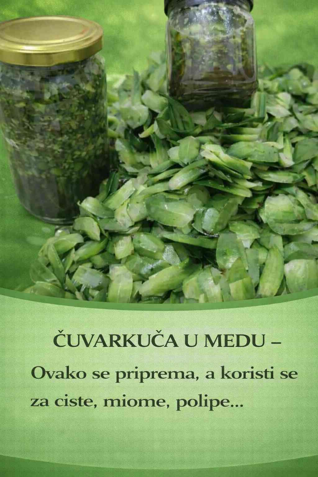 EVO KAKO DA NAPRAVITE MED OD ČUVARKUĆE: Liječi cijelo tijelo – Od bolova u uhu do anemije…