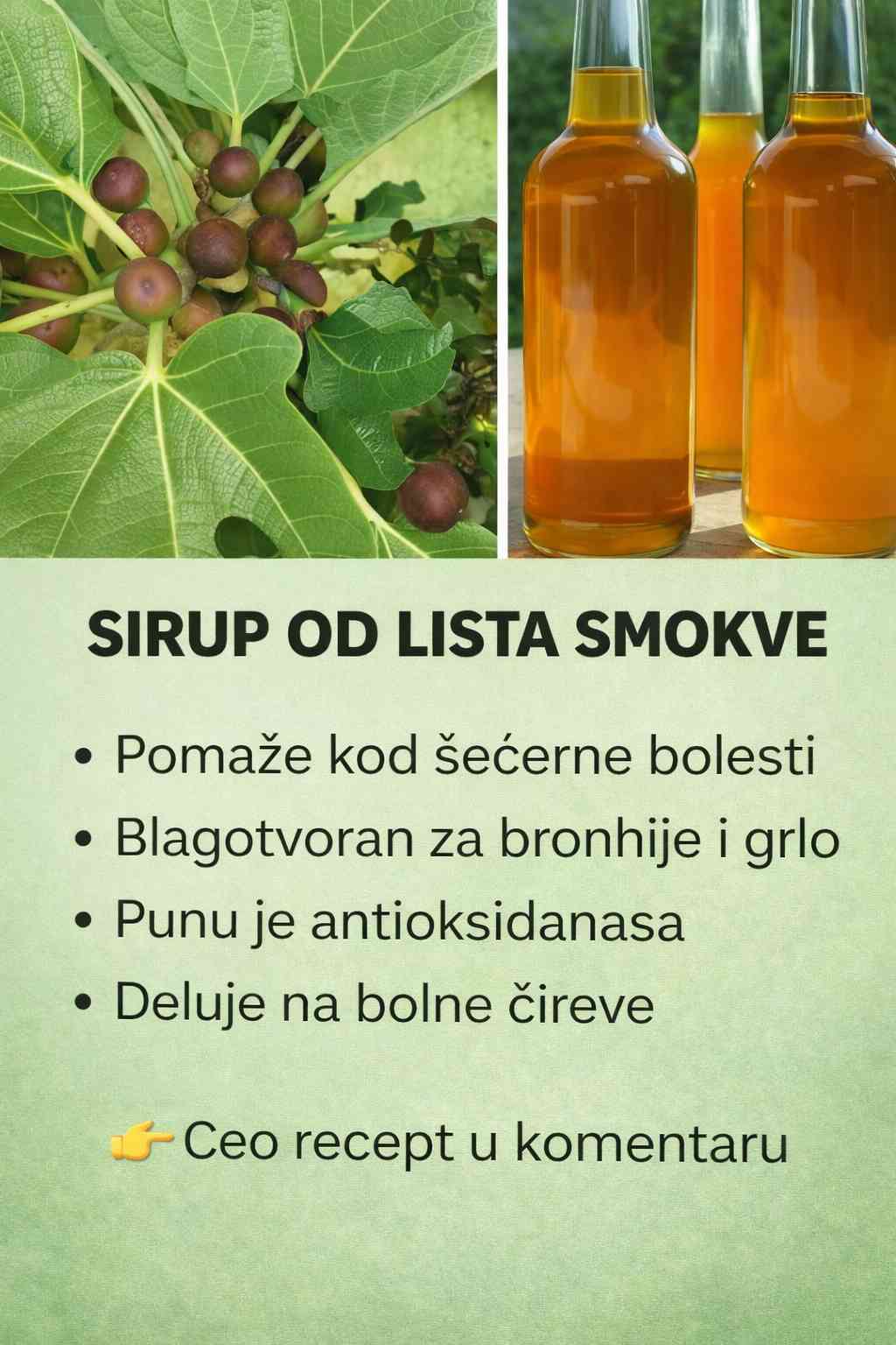 SIRUP OD LISTA SMOKVE: Lako se pravi, a teško je opisati koliko je dobar