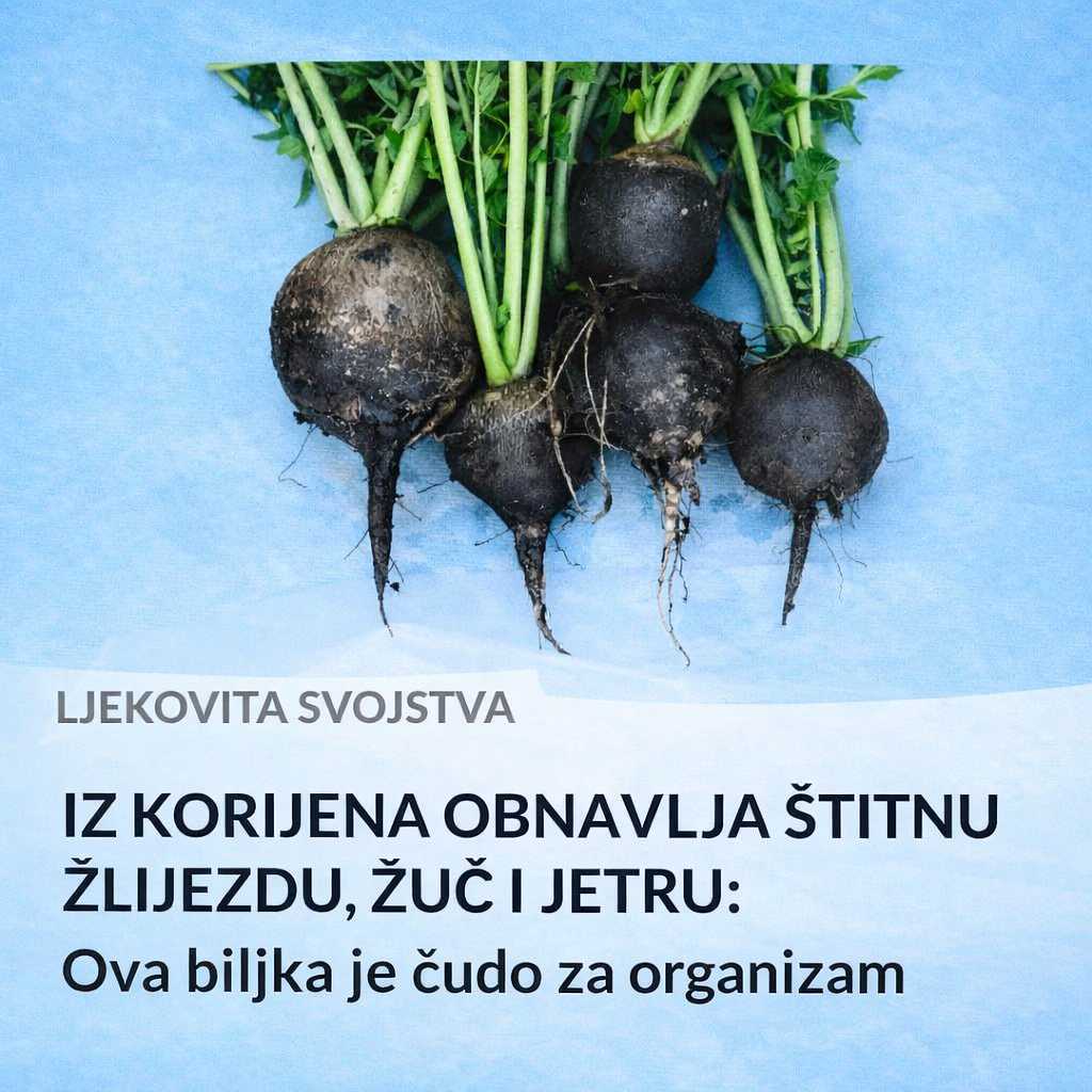 Ovo je namirnica koja obnavlja štitnu žlijezdu, žuč i jetru! Sigurno niste znali za njena ljekovita dejstva!