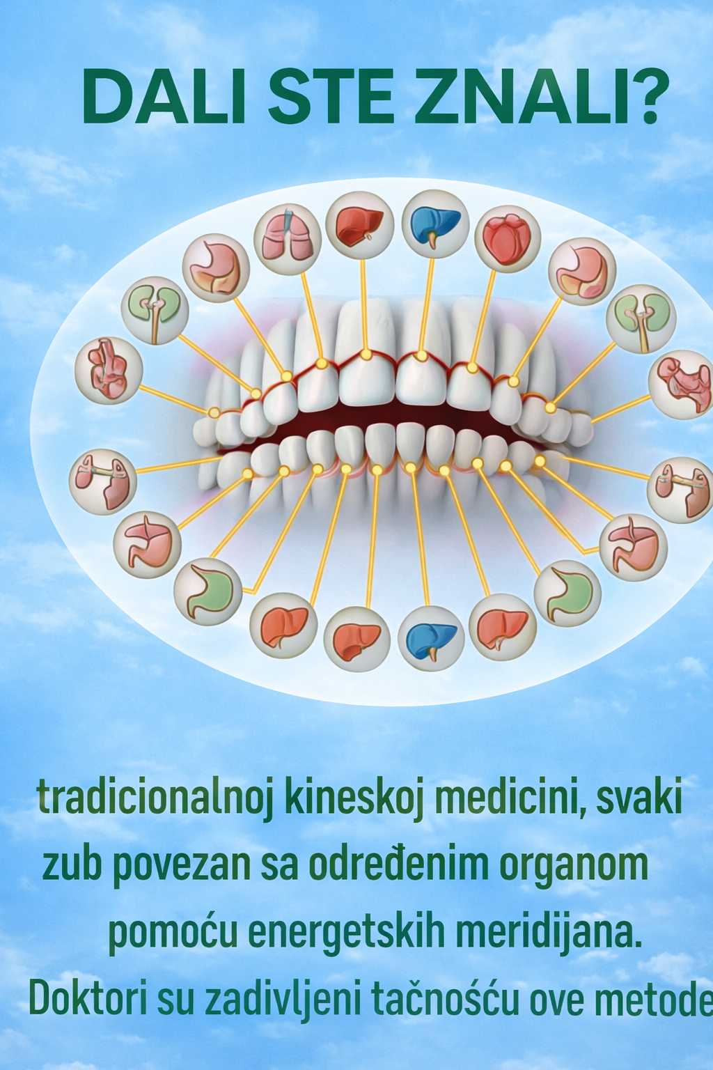 Da li ste znali da su vaši zubi povezani s unutrašnjim organima? 🌿