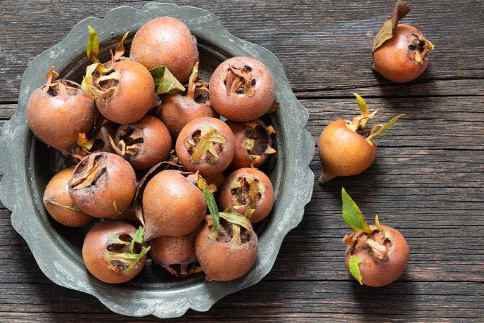 MUŠMULA JE ZAŠTITNICA ZDRAVLJA: Jača vid, jetru i bubrege, popravlja krvnu sliku, čisti organizam