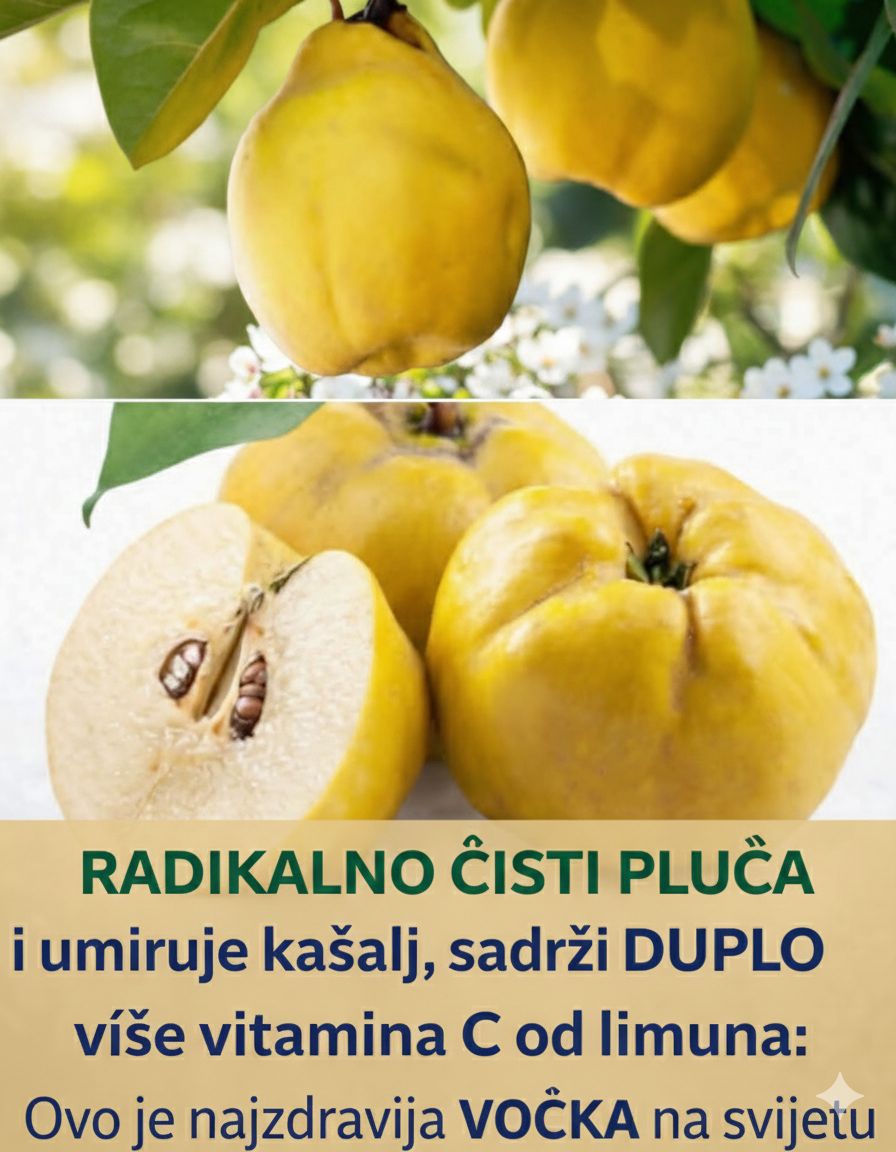 DUNJA: ZABORAVLJENI ELIKSIR KOJI ČISTI DISAJNE PUTEVE I JAČA IMUNITET DOK SPAVATE