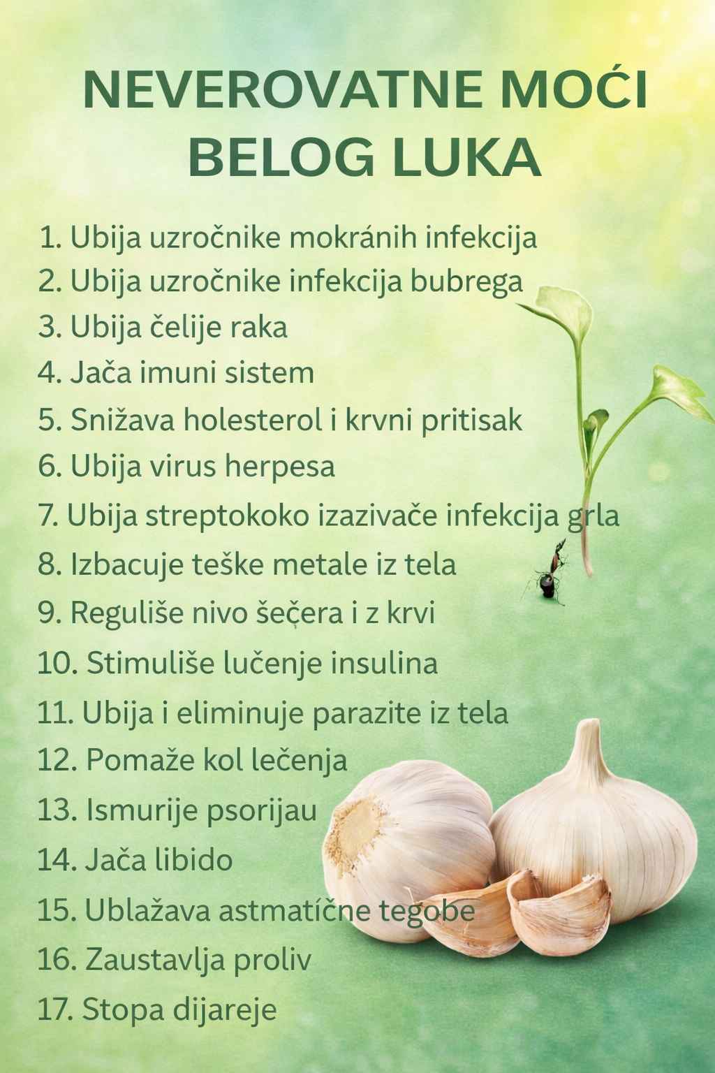Nevjerovatne moći bijelog luka – Istina ili mit?