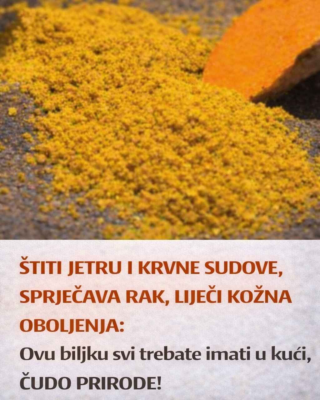 ŠTITI JETRU I KRVNE SUDOVE, SPRJEČAVA RAK, LIJEČI KOŽNA OBOLJENJA: Ovu biljku treba imati u kući, ČUDO PRIRODE!