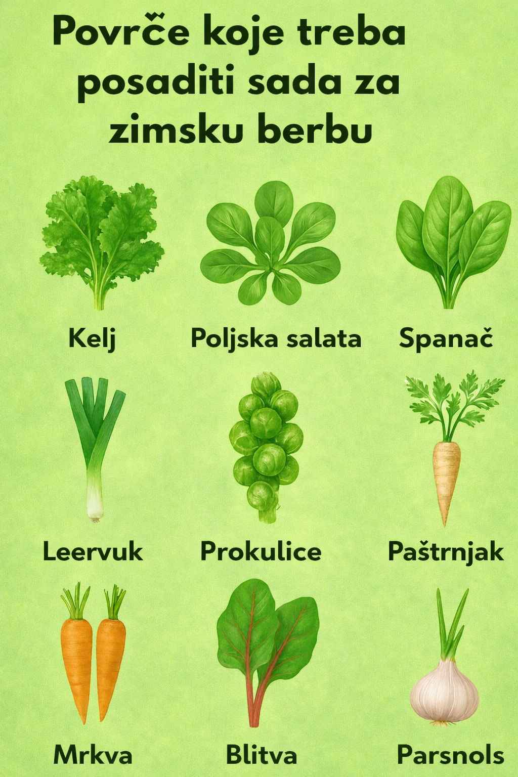 🥦 Povrće koje možeš posaditi sada za zimsku berbu ❄️