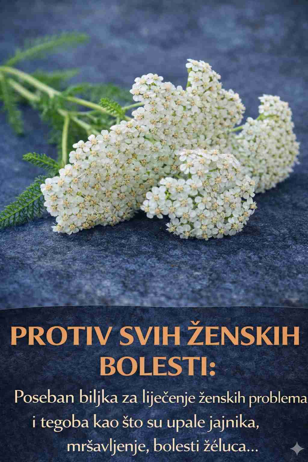 Prirodna riznica zdravlja: Zašto je hajdučka trava (kunica) neizostavna saveznica svake žene?