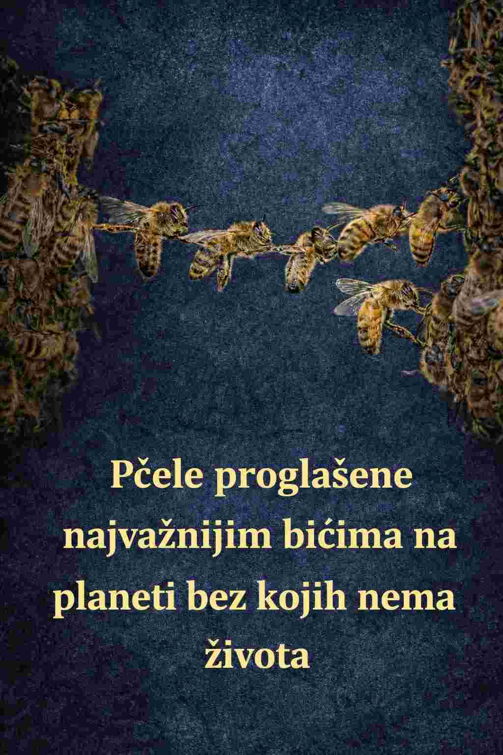 Pčele PR0GLAŠENE najvažnijim bićima na planeti bez kojih nema ŽIV0TA