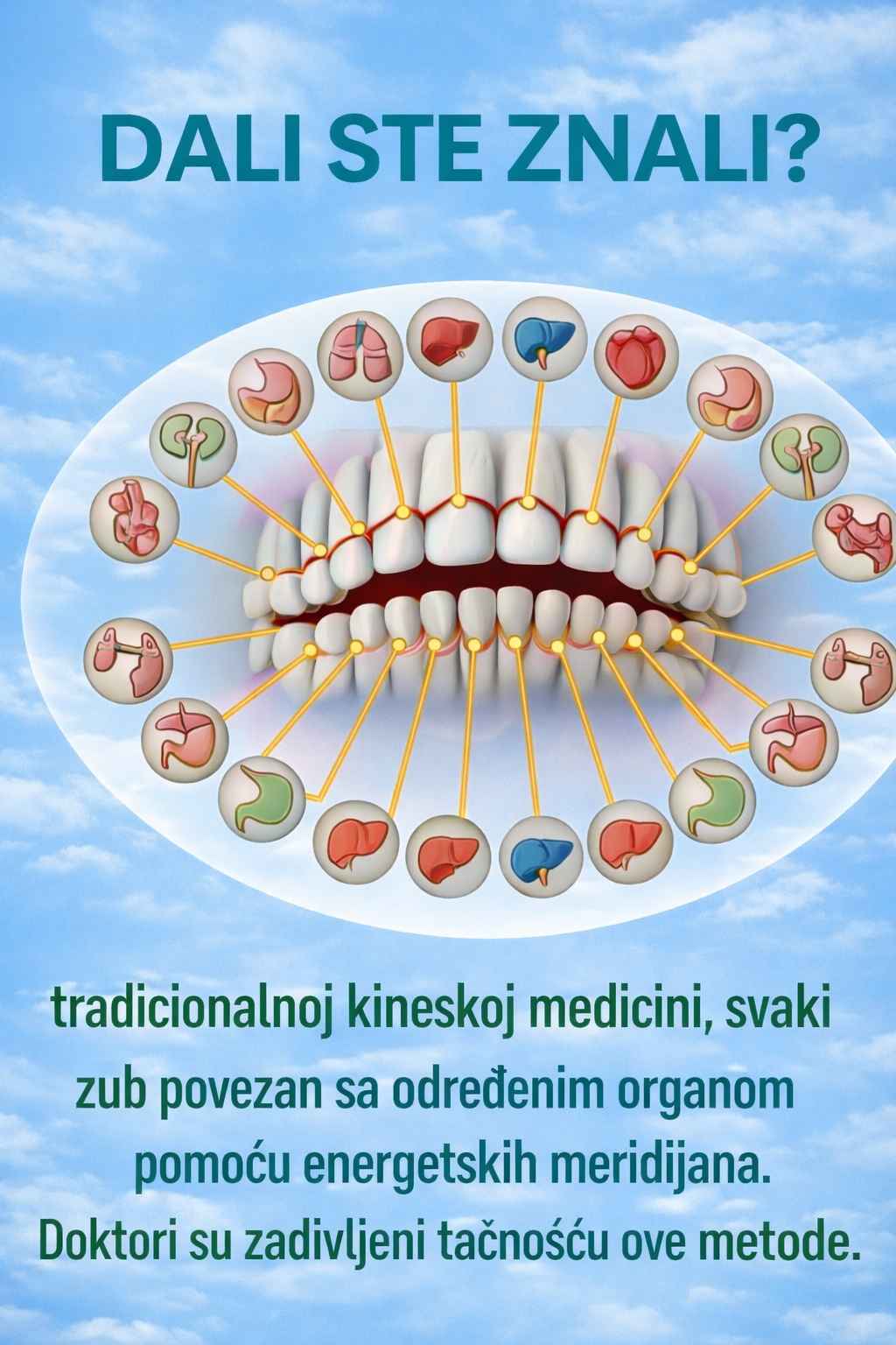 Da li ste znali da su vaši zubi povezani s unutrašnjim organima? 🌿