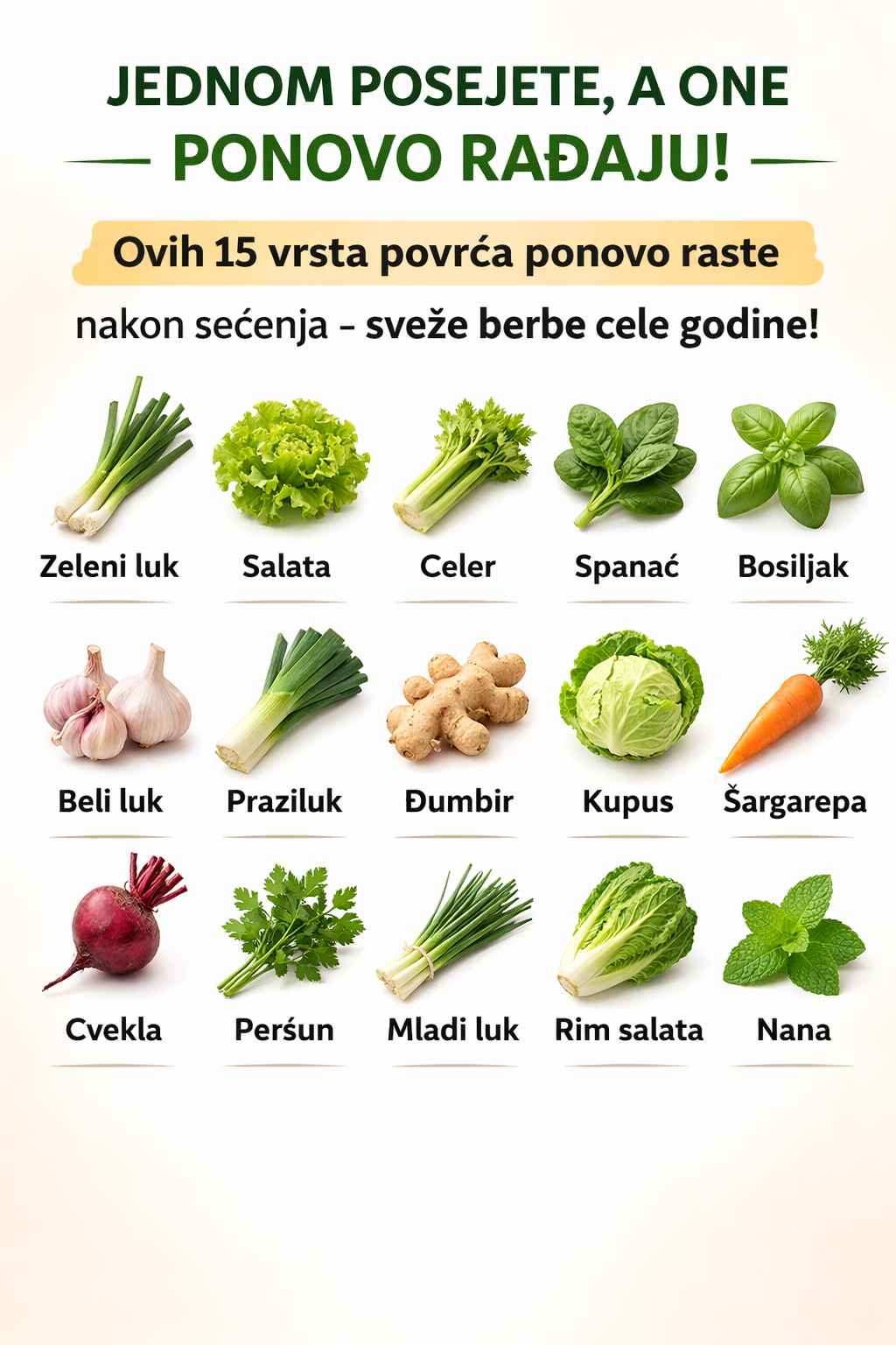 🌱 JEDNOM POSEJETE – A POVRĆE PONOVO RASTE!