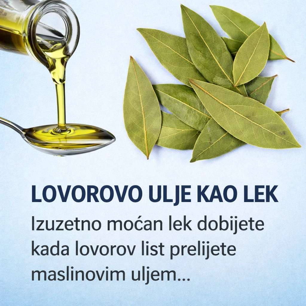 Eterično ulje lovora lekovitost i recepti