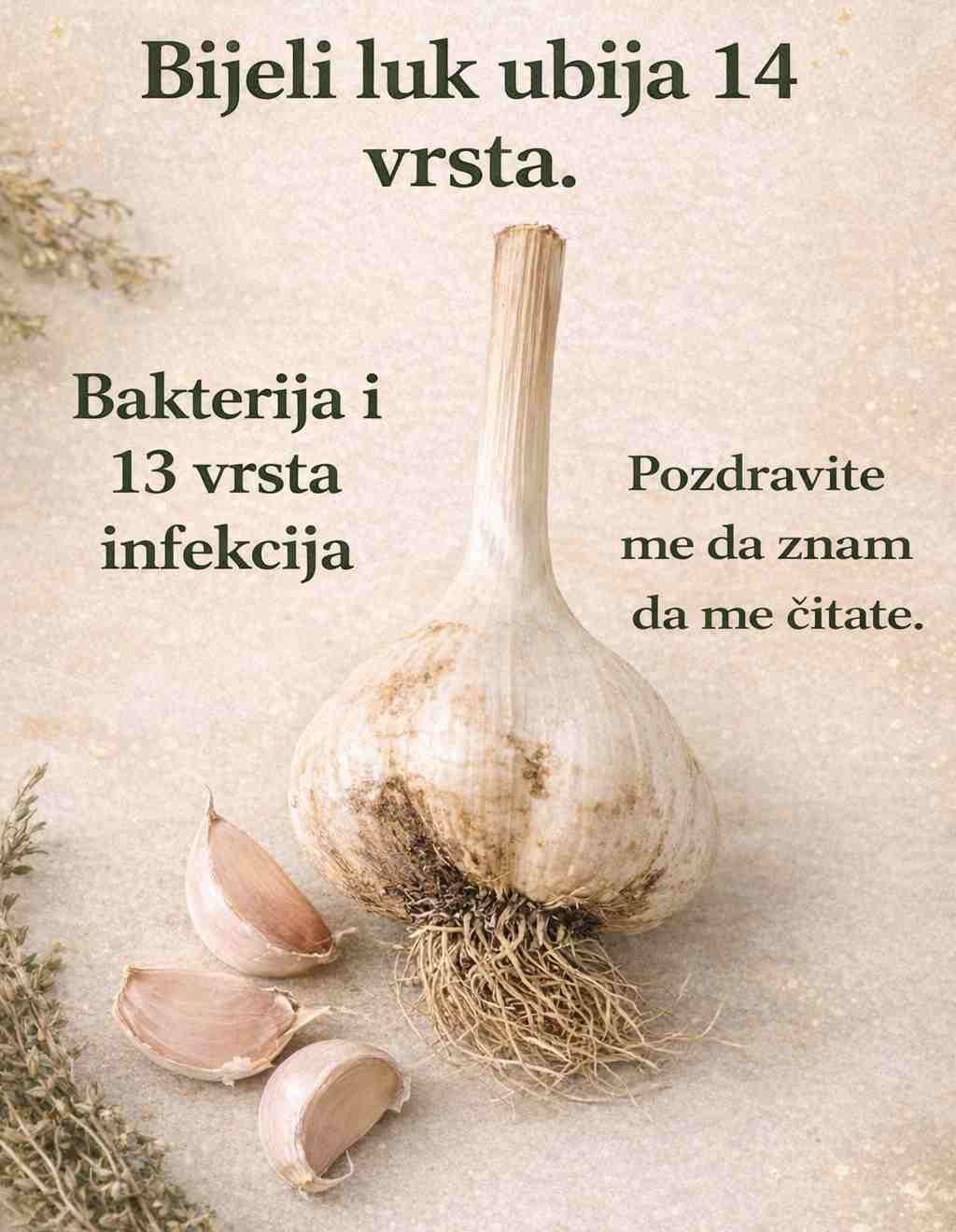 Bijeli Luk – Prirodna Podrška Imunitetu (Istina, Recept i Savjeti)