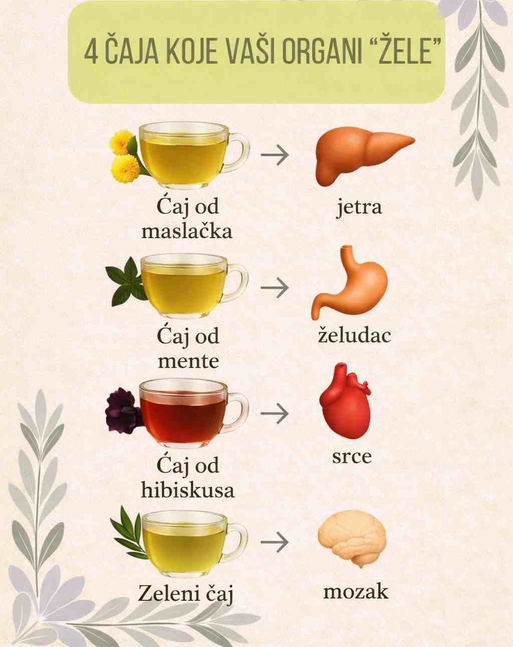 8 ljekoviti čajeva za vaše zdravlje