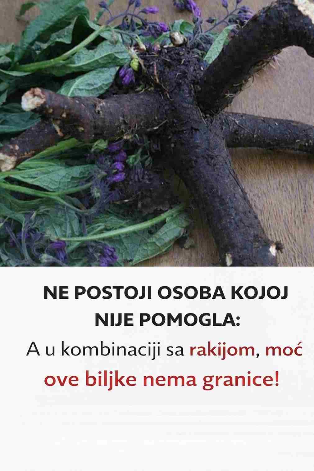NE POSTOJI OSOBA KOJOJ NIJE POMOGLA: A u kombinaciji sa rakijom, moć ove biljke nema granice!