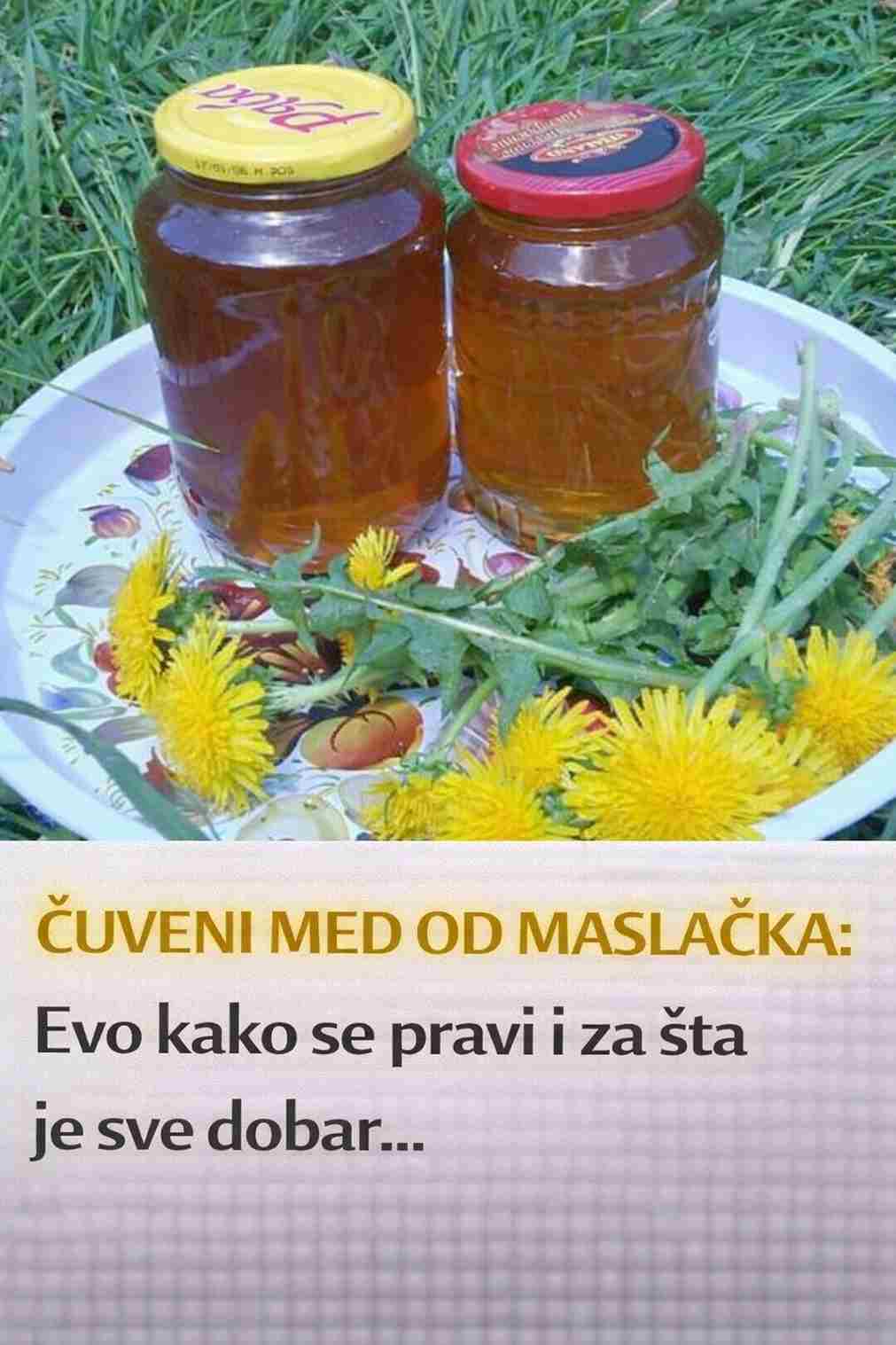 ČUVENI MED OD MASLAČKA: Evo kako se pravi i za šta je sve dobar…