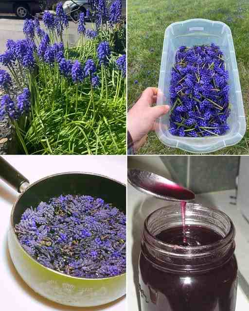 M0ŽDA STE NEGDJE VIDJELI 0VAJ CVIJET,ALI NIKADA D0 SAD NISTE ZNALI NJEG0VU M0Ć