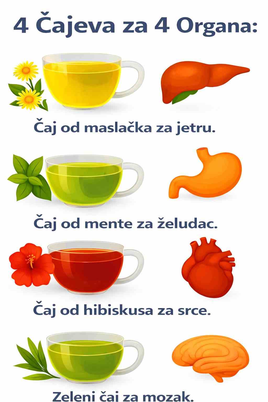 ✨ Vaši organi će OBOŽAVATI ove ljekovite čajeve! ☕🌿