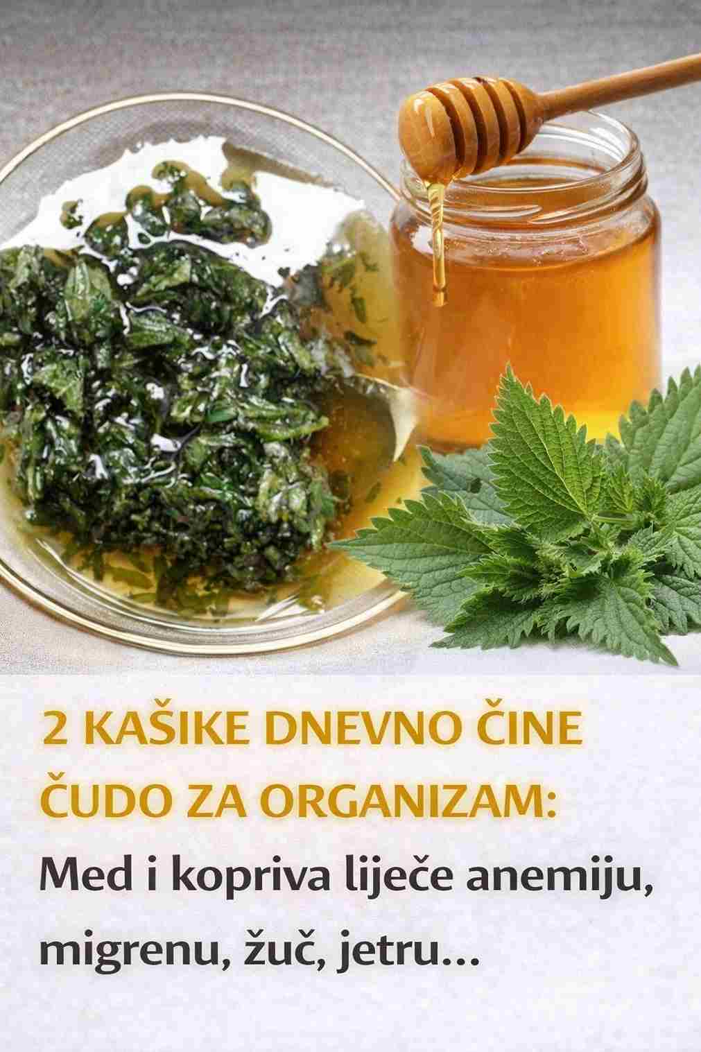 2 KAŠIKE DNEVNO ČINE ČUDO ZA ORGANIZAM: Med i kopriva liječe anemiju, migrenu, žuč, jetru…