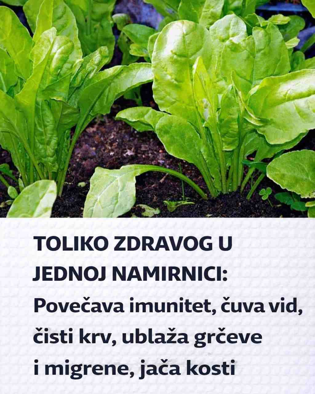 TOLIKO ZDRAVOG U JEDNOJ NAMIRNICI: Povećava imunitet, čuva vid, čisti krv, ublaža grčeve i migrene, jača kosti