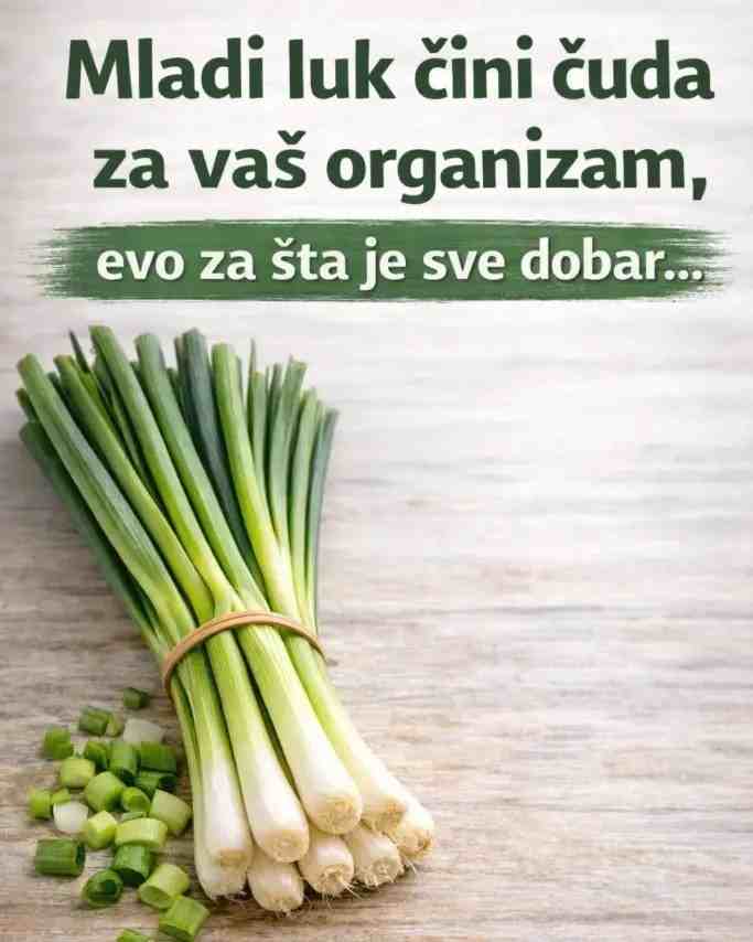 Mladi luk čini čuda za vaš organizam, evo za šta je sve dobar…