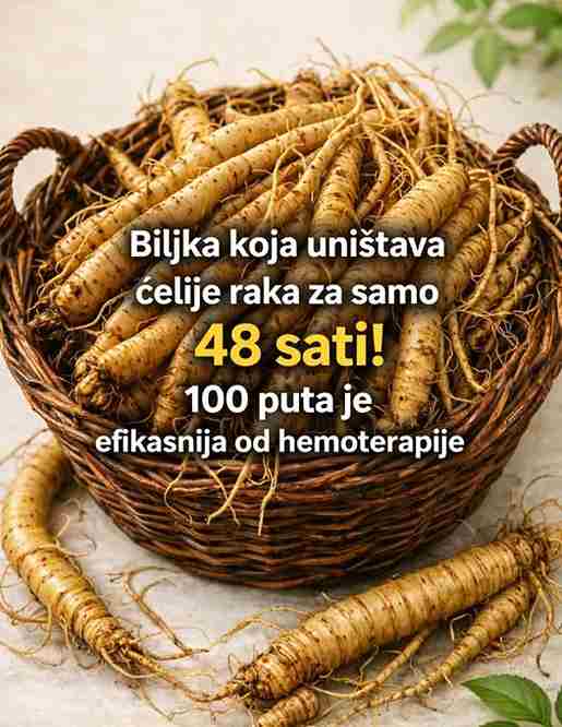 Biljka za koju se tvrdi da uništava ćelije raka za 48 sati