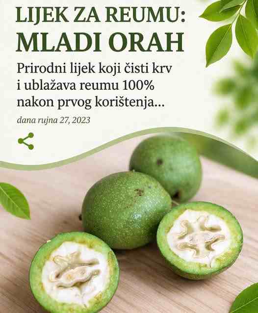 LIJEK ZA REUMU:MLADI ORAH: Prirodni lijek koji čisti krv i ublažava reumu 100% nakon prvog koristenja…