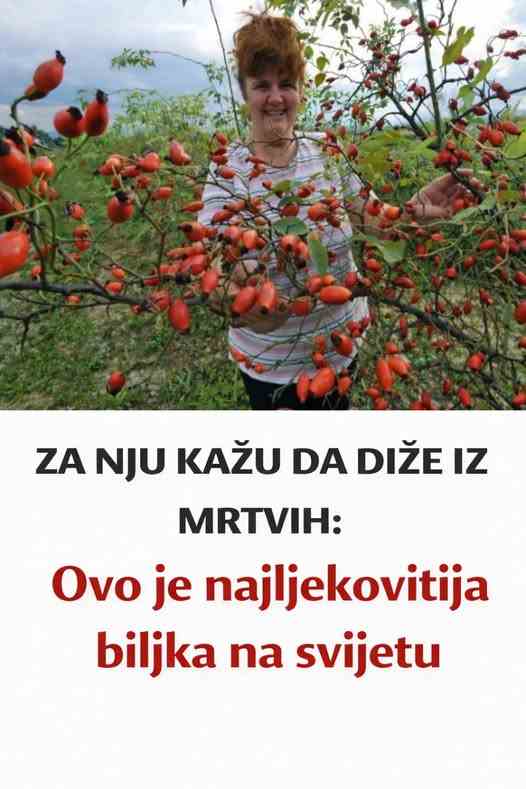 ZA NJU KAŽU DA DIŽE IZ MRTVIH: Ovo je najljekovitija biljka na svijetu