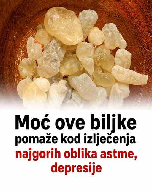 Moć ove biljke pomaže kod izlječenja najgorih oblika, astme, depresije