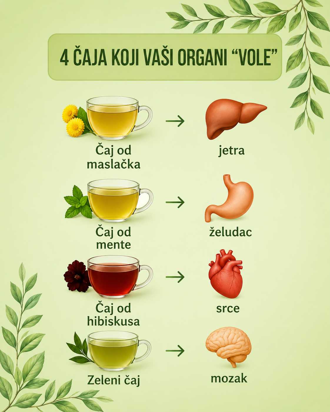 🍵 4 ČAJA KOJE VAŠI ORGANI “VOLE” 💚