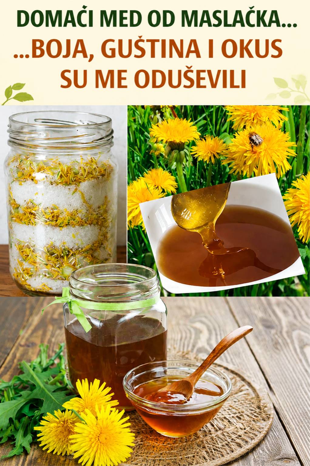 🌼 Domaći med od maslačka – prirodna slatka poslastica puna blagodati 🍯