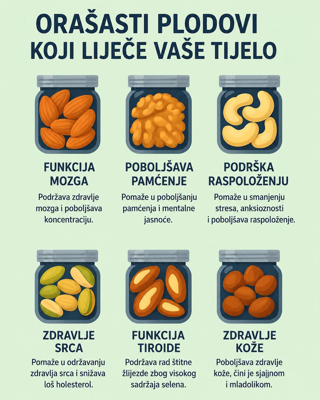 🥜 Orašasti plodovi koji liječe vaše tijelo: Male namirnice s moćnim zdravstvenim prednostima 🌿✨