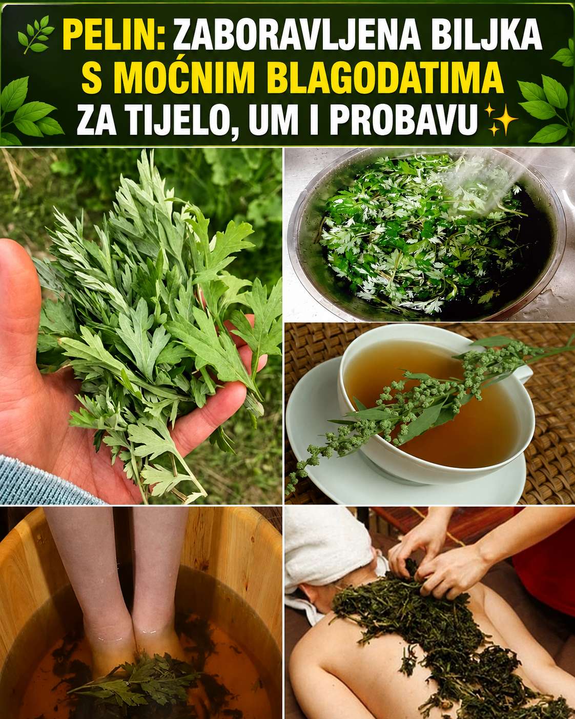 Čaj od pelina – Drevni lijek sa modernim prednostima