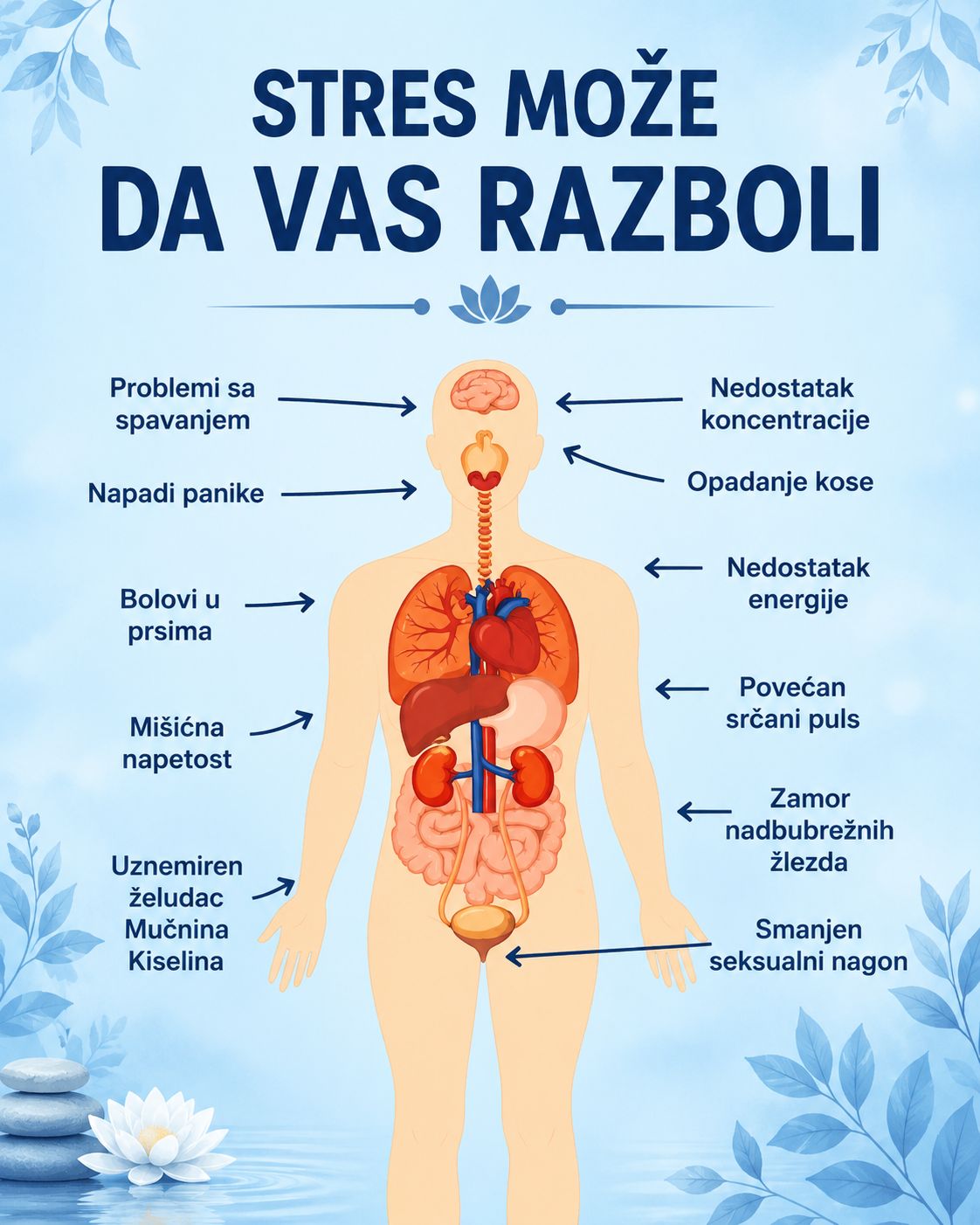 🧠 Stres vas čini bolesnima: Kako hronični stres utiče na cijelo vaše tijelo