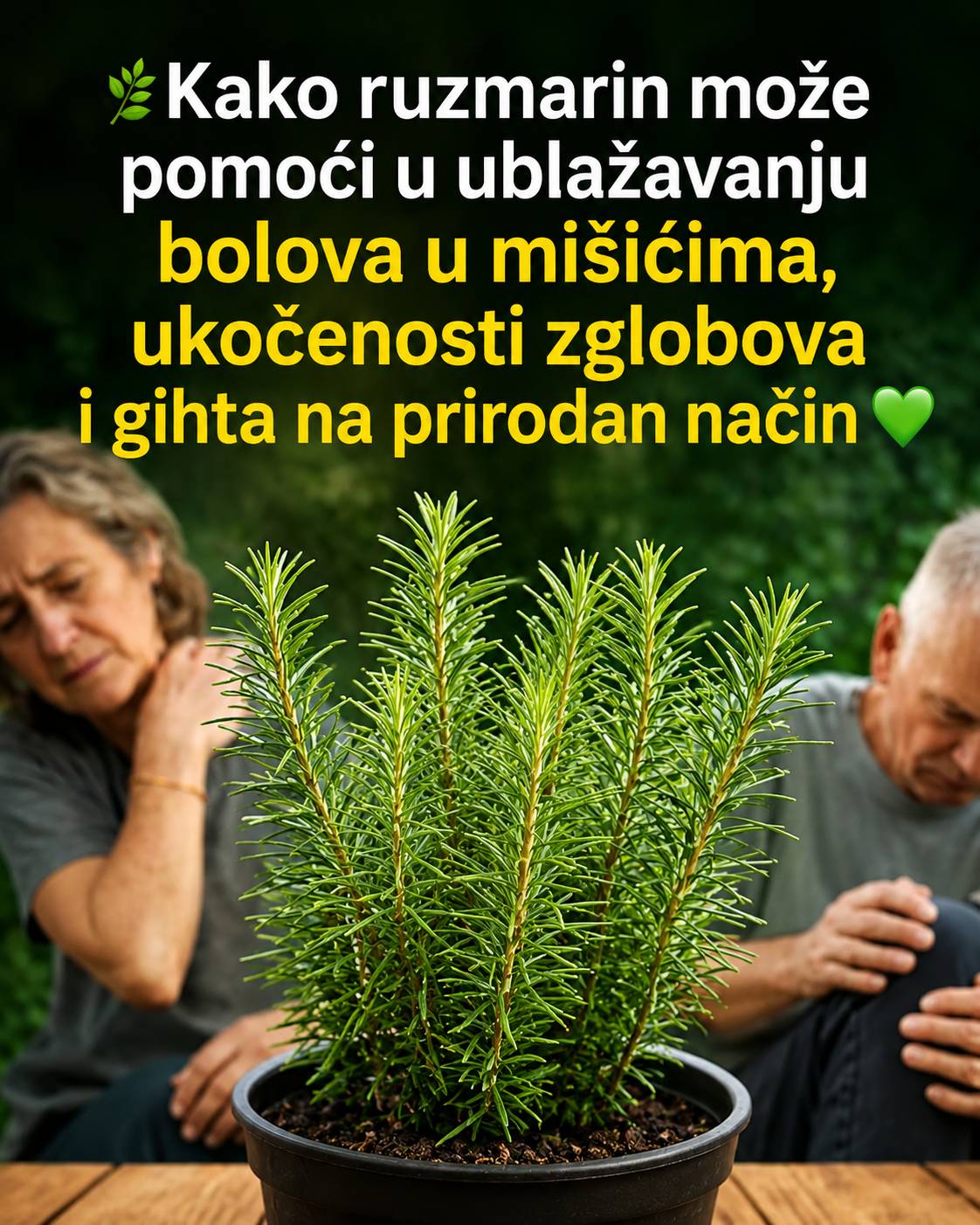 🌿 Kako ruzmarin može pomoći u ublažavanju bolova u mišićima, ukočenosti zglobova i gihta na prirodan način 💚