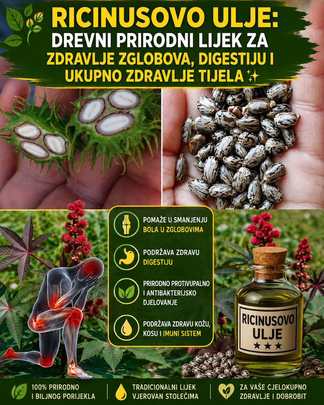 🌿 Ricinusovo ulje: Drevni prirodni lijek za zdravlje zglobova, probavu i cjelokupno blagostanje ✨