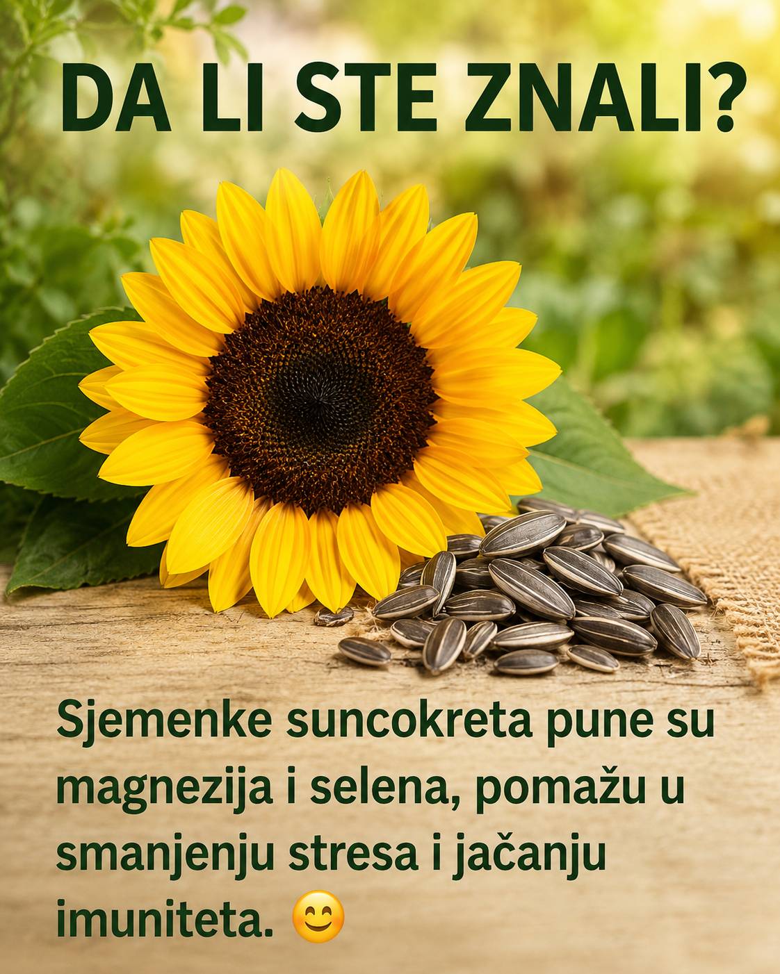 🌻 Sjemenke suncokreta – mali zalogaji puni zdravlja i energije