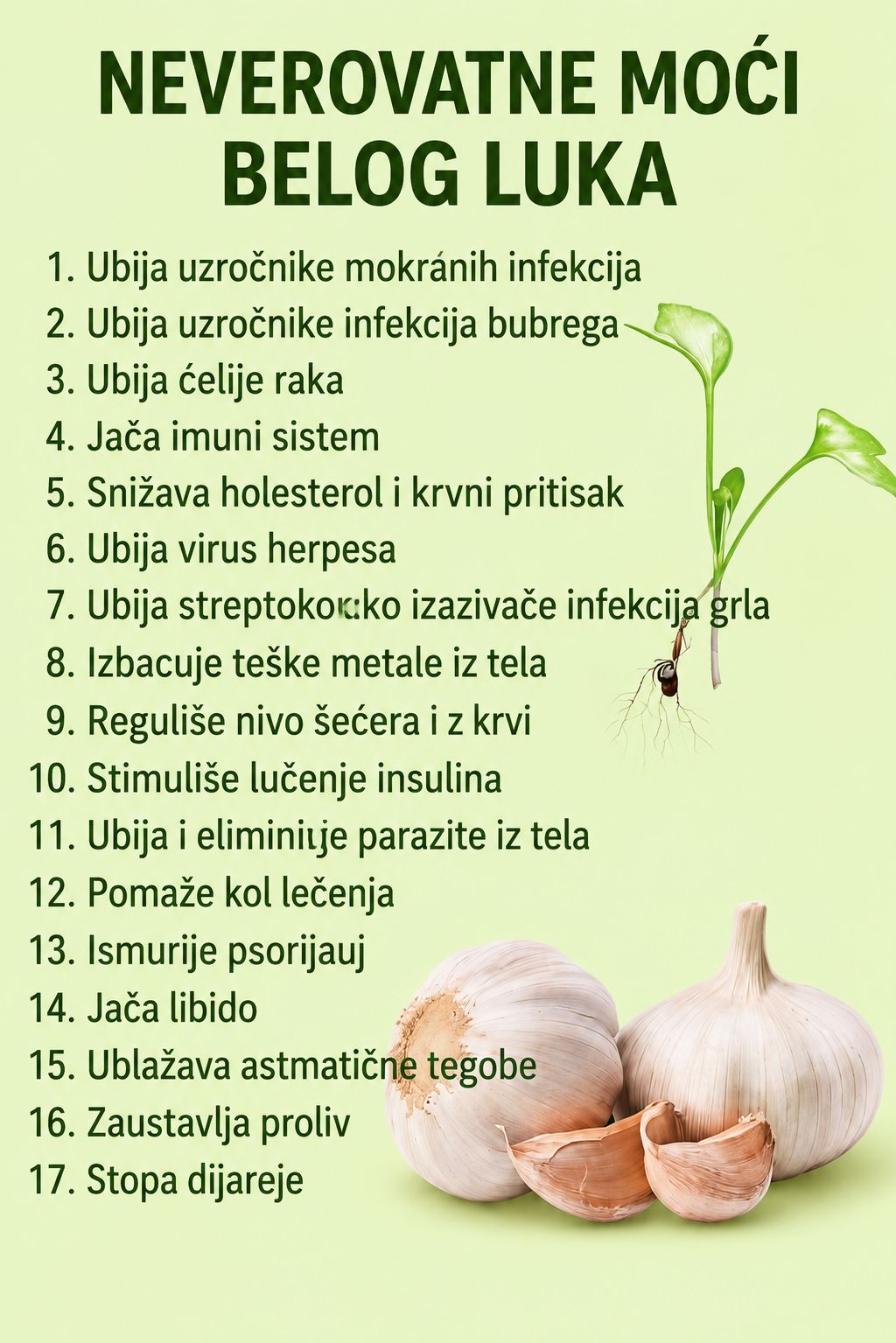 Nevjerovatne moći bijelog luka – Istina ili mit?