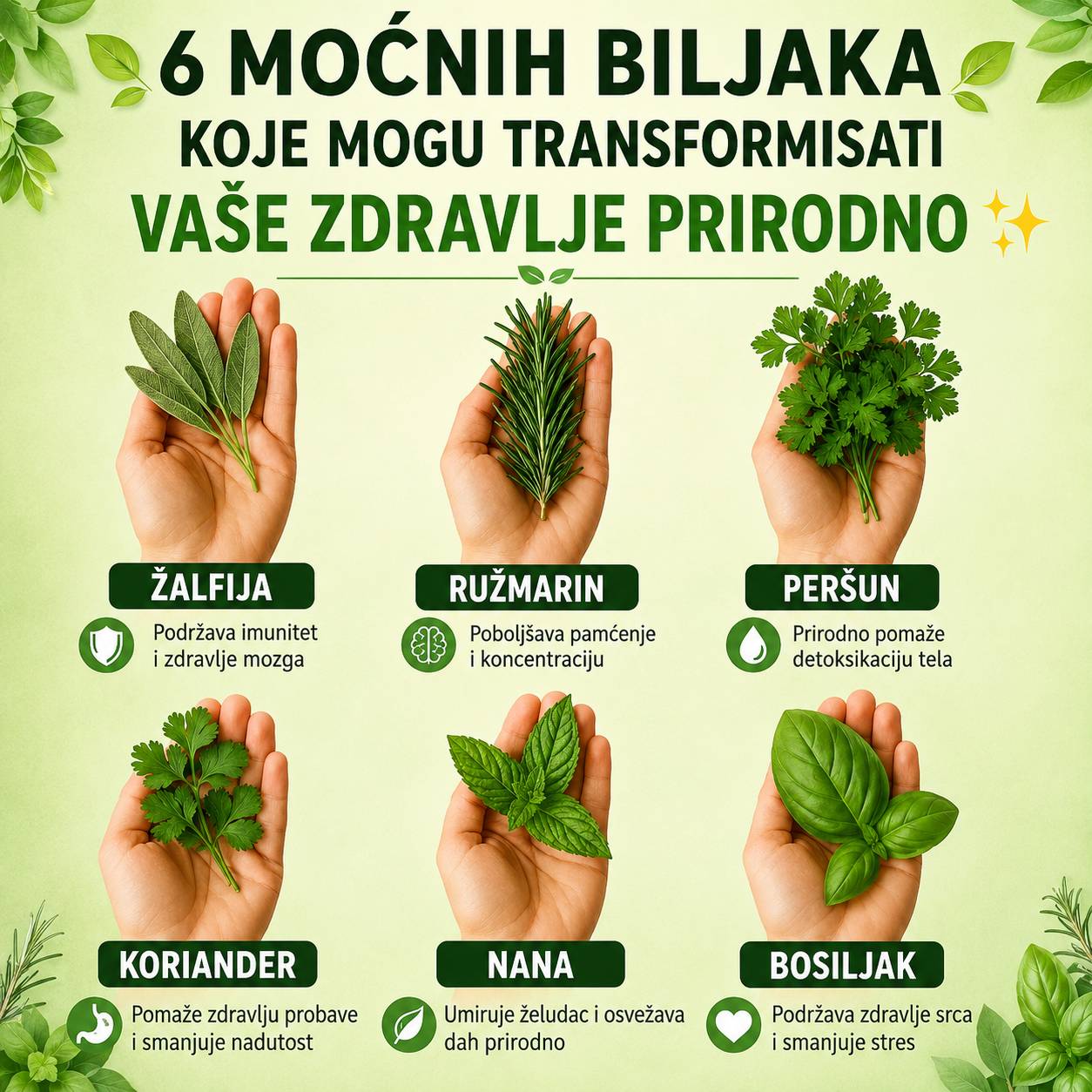 🌿 6 moćnih biljaka koje mogu prirodno transformirati vaše zdravlje ✨