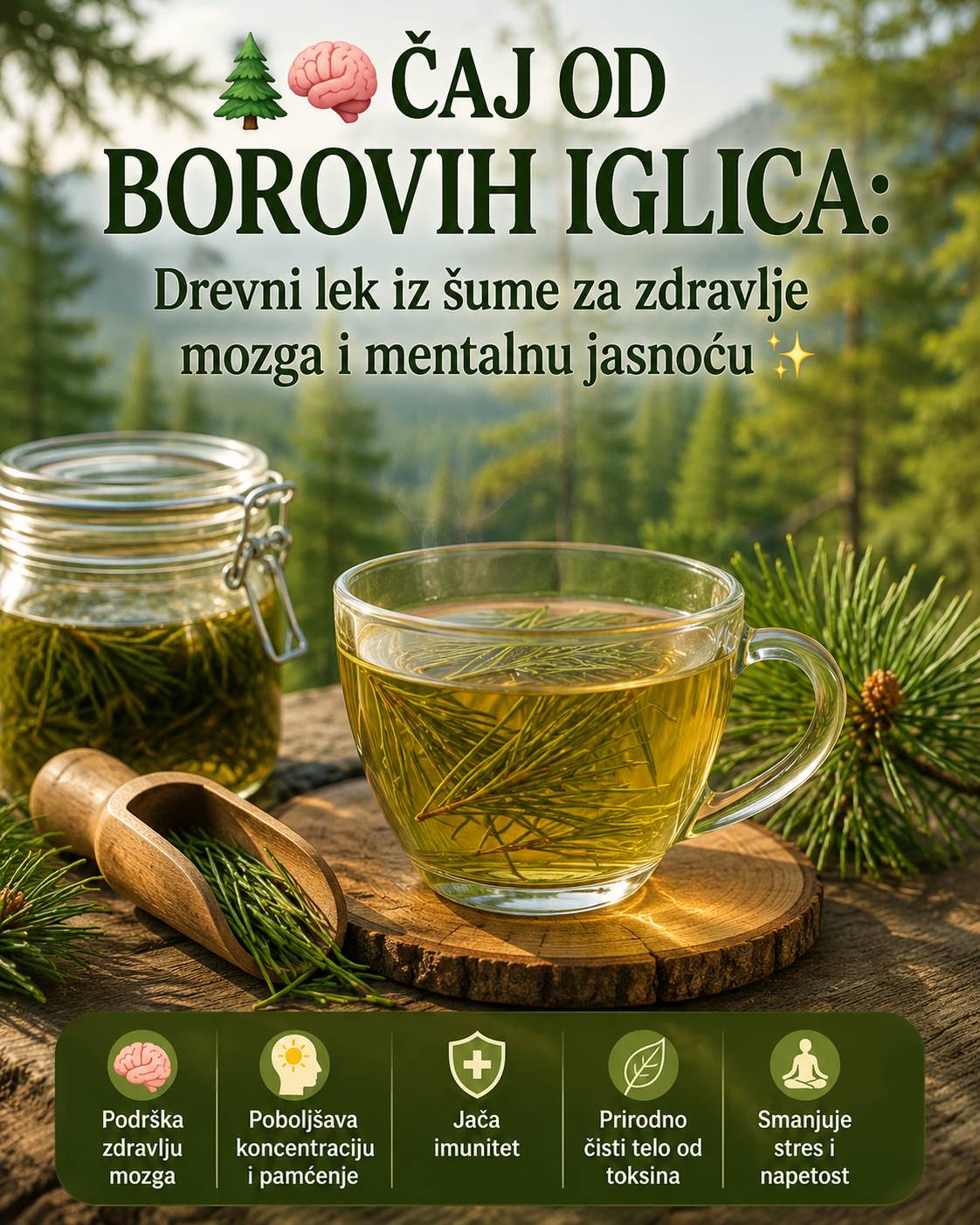 🌲🧠 Čaj od borovih iglica: Tradicionalni biljni napitak za mentalnu jasnoću i blagostanje